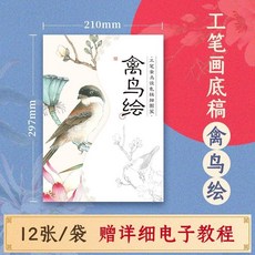 工筆畫線稿底稿, 禽鳥繪 線稿,A4（210mm*297mm）
