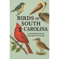 (英文圖書)Birds of South Carolina: A Comprehensive Descriptive Guide 平裝版, Independently Published, 英文