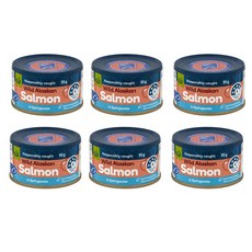 울월스 알래스칸 연어 통조림 Woolworths Salmon In Springwater, 6개, 95g