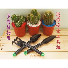 園藝城堡 多肉植物迷你園藝工具組，台灣製造安全三件組，多肉植物種植必備, 1個