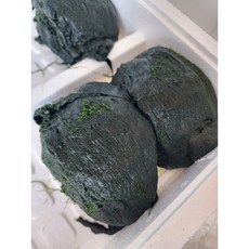 산지직송 전남 완도 찰 매생이 3재기 5재기 10재기 1박스 생매생이 알굴 생굴, 370g전후3재기