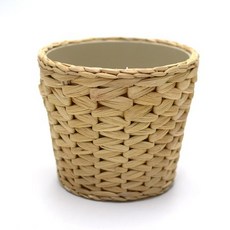 부레옥잠 화분 12cm 실내 홈가드닝 식물선물, 1개