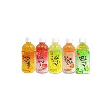 웰그린 과일맛 녹차 5종세트 1개/녹차음료/청포도녹차음료/복숭아녹차음료/레몬녹차음료/녹차음료세트/자두, 웰그린 과일맛 녹차 5종세트 1개/녹차음료/청포도녹차음