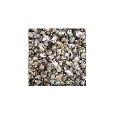 동해안 자연산 흑골뱅이 1kg (50-70미) [자숙급냉], 동해안 자연산 흑골뱅이 1kg (50-70미) [자숙급