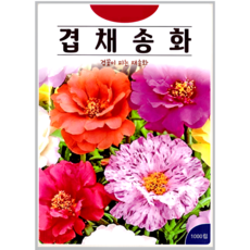 겹채송화 혼합 씨앗(1000립)채송화 꽃씨 종묘 종자 씨 영웅 KS, 1개