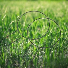 게더릭 원형 식물 지지대 2p세트_ 050613