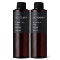 1+1 에이센트 실속형 디퓨저 리필 200ml 2구, 우디레인, 2개