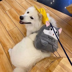 강아지 대형견 백팩 리트리버 유치원 소형견 배트맨 가방, 1개, 그레이캣