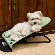 중소형견 메쉬 흔들침대 사계절용 반려견 강아지 흔들침대, 그린 30kg