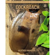 Cockroach: An Amazing Animal Picture Book about Cockroach for Kids Paperback, Independently Published
