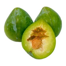 청담농수산 산지직송 고당도 청자두 켈시자두, 1개, 500g 로얄 특대과