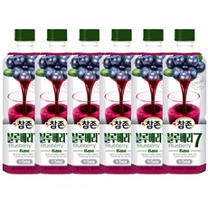 참존 블루베리7 원액 농축액 음료베이스, 6개, 835ml