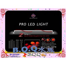 UP雅柏 Z系列超薄型LED燈 增豔紅燈, 1個, 1尺