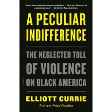 A Peculiar Indifference: The Neglected Toll of Violence on Black America Paperback, Picador USA, English, 9781250798497