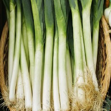 [밋앤밀] 국내산 노지 대파 특대 1kg, 1개