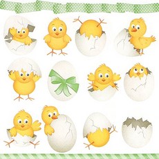 노랑병아리 냅킨 5장 K-03-030