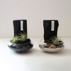 러브피어리 차콜 플래닛 에어 오브제(Charcoal Planet Air Objet) 공기정화 참숯, 차콜 플래닛 에어 오브제(s)-모던타입