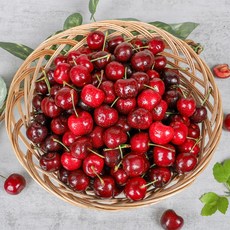 새콤달콤 체리 고당도 프리미엄 칠레산 10R 9.5R, 1박스, 300g (10R~10.5R)
