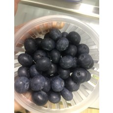 블루베리 특상품 고령 수지블루 자연산 실속형 식품 200g 1개