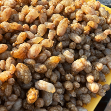 먹부장 통통 오만둥이 미더덕 1kg, 1