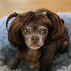 개와 고양이를 위한 반려동물 가발 크리스마스 사진 휴일 파티 코스프레 및 생일 드레스업을 귀여운 컬러 헤어피스 작은 반려동물을 조절 가능한 가발 198701, E