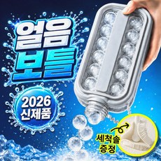 미로아 어디서나 얼음 트레이 물병 보틀 원형 아이스 2in1, 1개, 회색이