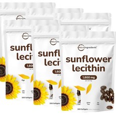 마이크로인그레디언트 선플라워 레시틴 1600mg 소프트젤 Micro Ingredients Sunflower Lecithin, 6개, 300정