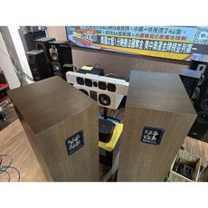 雅瑟落地喇叭，卡拉ok好朋友，國產之光，家庭劇院首選