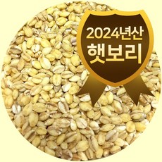 25년산 햇보리 100% 국내산 보리밥 보리쌀 찰보리 5kg, 1개