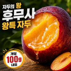 고당도 후무사 자두 왕특대과, 1박스, 1kg왕특