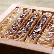 푸드공작소 국내산 토종꿀 벌집꿀 2.0kg 선물세트(지함포장), 1개, 2.0kg(지함포장)