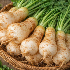 [여수총각] 작년김장완판 초특가 여수황토 햇알타리무, 1박스, 3kg