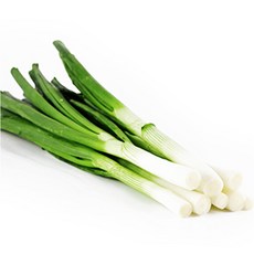 전국 대파 최대 산지 신안군 해풍 맞고 자란 신안군 깐대파 흙대파1kg 2kg 5kg, 흙대파2kg, 1개