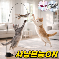 디오벨러 혼자노는 낚시대 고양이 장난감, 1개, 브라운