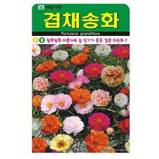 아람종묘 겹채송화 씨앗, 2개