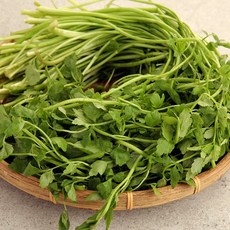 [오초록] 세척완료 향긋한 김해 미나리 1단(400g 내외), 없음