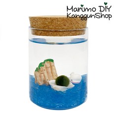 마리모 포함 키우기 바위돌고래 콜크자150ml 유리병 세트, 1개