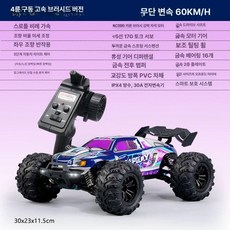 RC카 입문용 쉬운조종 조립 배터리 차량 제품 오프로드 화이트 가족용, 7.브러시드 오프로드 블루 50분