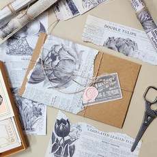 초목배경지 도감