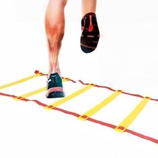 스피드 사다리 민첩사다리 웨이트트레이닝 축구발걸음 조율트레이닝 사다리 농구공 훈련보조기 체크사다리+수납가방, 9m(18구)