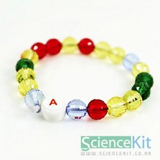 (SC) DNA팔찌(투명 4인용)