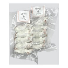 <쥐선생>냉동마우스 10마리 세트 [중] 17~22g, 10개, 20g