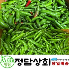 [ 정담상회 ] 국내산 청양고추 청량고추 못난이고추 매운고추 땡초 1kg 2kg 3kg 10kg 내외, 1개, 2kg(상)
