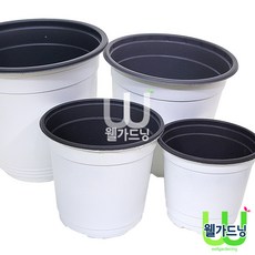 조이가든센터 칼라포트- 백색, 화이트