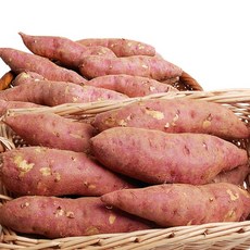 해남 꿀 고구마_5kg(한입_개당 50g미만), 01_해남 꿀 고구마_5kg(한입_개당 50g미만), 1개