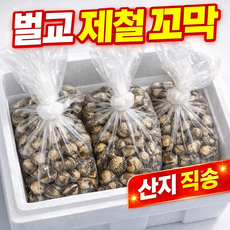 [특선] 벌교 꼬막 제철 산지직송 새꼬막, 1개, 3kg (대)