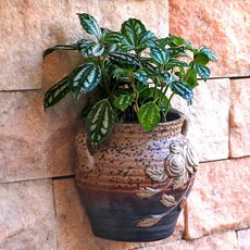 掛牆壁掛花盆 陶瓷綠蘿懸掛式多肉水培 歐式創意陽臺垂吊裝飾花器, ❀✿❀❀雙耳栗色(底部有孔)❉❀★♢,❀✿❀❀18-19CM❉❀★♢, 1個