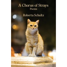 (영문도서) A Chorus of Strays Paperback, Kelsay Books, English, 9781639809783