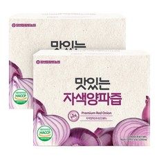 황토농원 맛있는 자색양파즙 2박스(100포), 100ml, 2박스