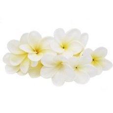 Winterworm 다발 10 PU 리얼 터치 살아있는 인공 플루메리아 프란지파니 꽃다발 웨딩 홈 파티 장식 (라이트 퍼플+화이트), 옐로우 화이트